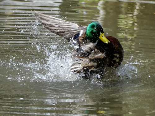 森田英一の観光Web写真のサンプル