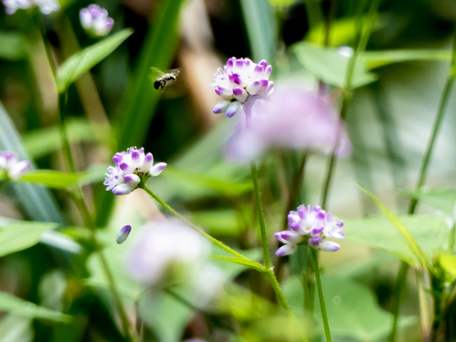森田英一の観光Web写真のサンプル