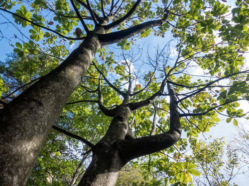 森田英一の観光Web写真のサンプル