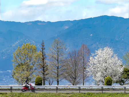 森田英一の観光Web写真のサンプル