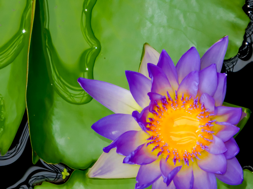 森田英一の観光Web写真のサンプル