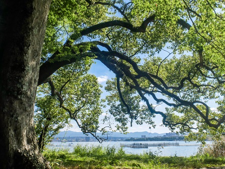 森田英一の観光Web写真のサンプル