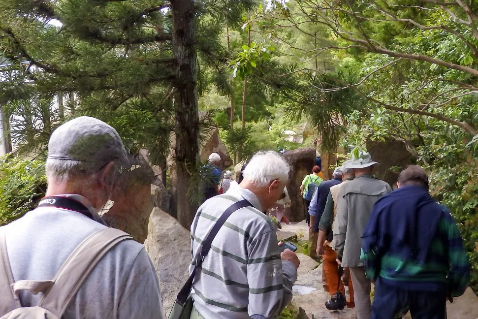 欧州からの訪日グループツアーを体験プログラム販売で受入れる。森田撮影