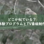 体験プログラムとTV番組制作は似ている