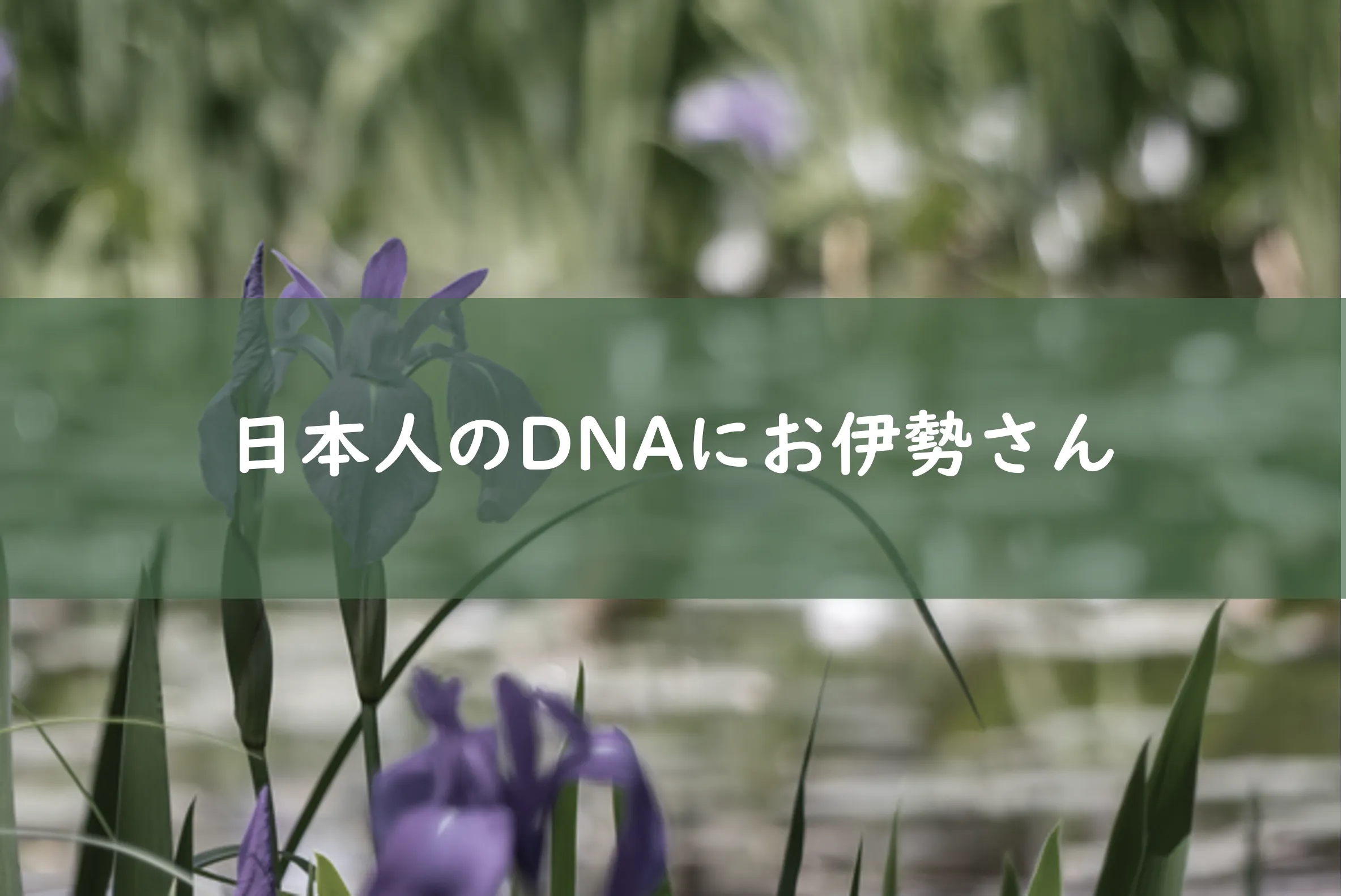 日本人のDNAには伊勢神宮が
