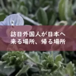 訪日外国人が日本へ来る場所 帰る場所