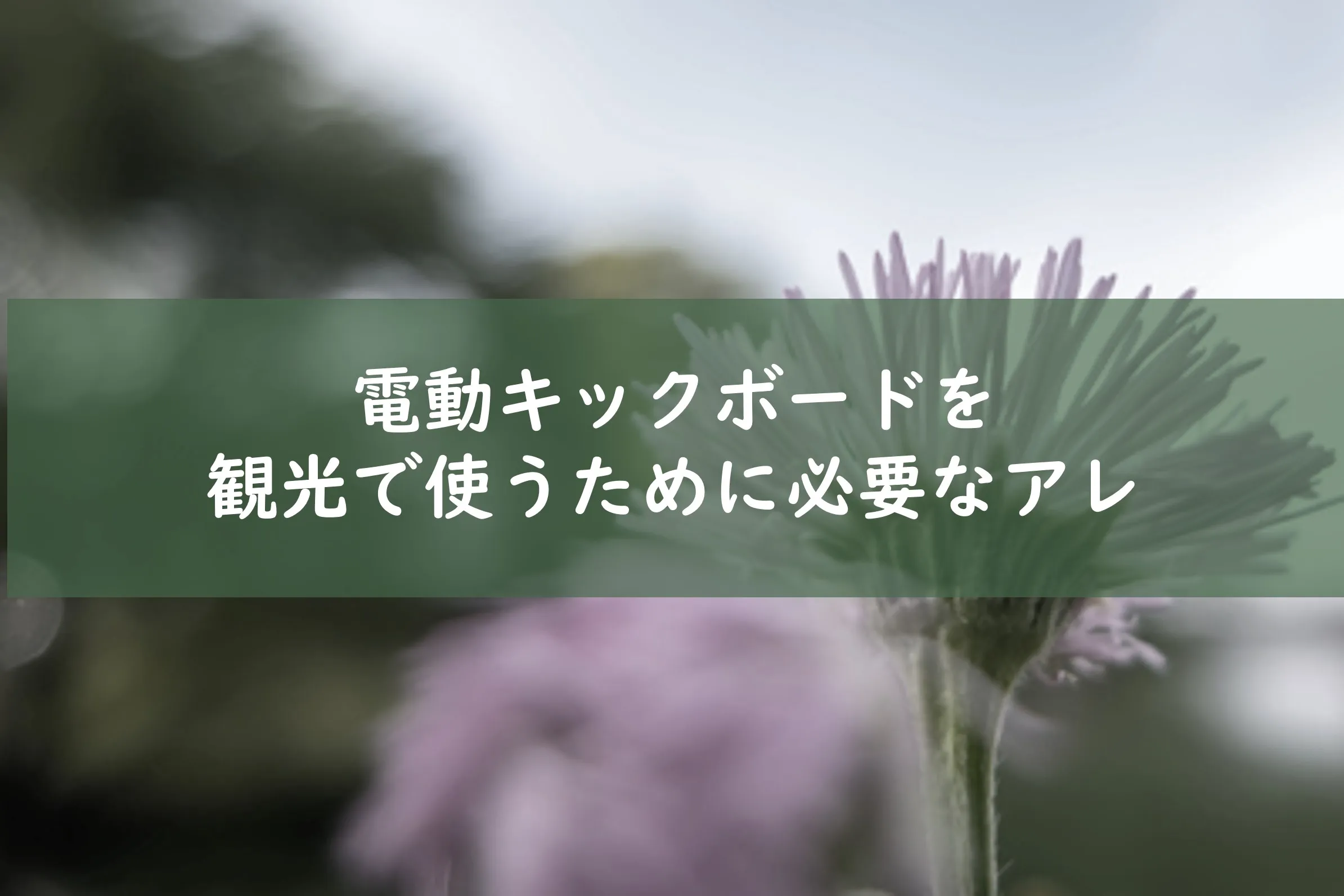 電動キックボードを使うために必要なもの