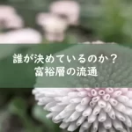 富裕層の流通はどこから