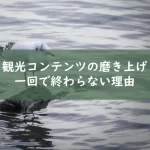 琵琶湖の石の上で休むユリカモメ