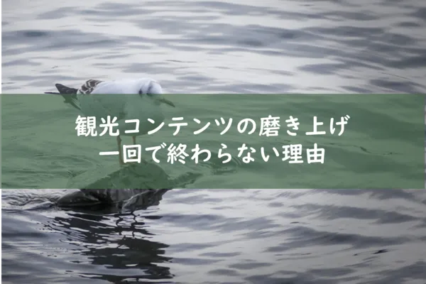 琵琶湖の石の上で休むユリカモメ