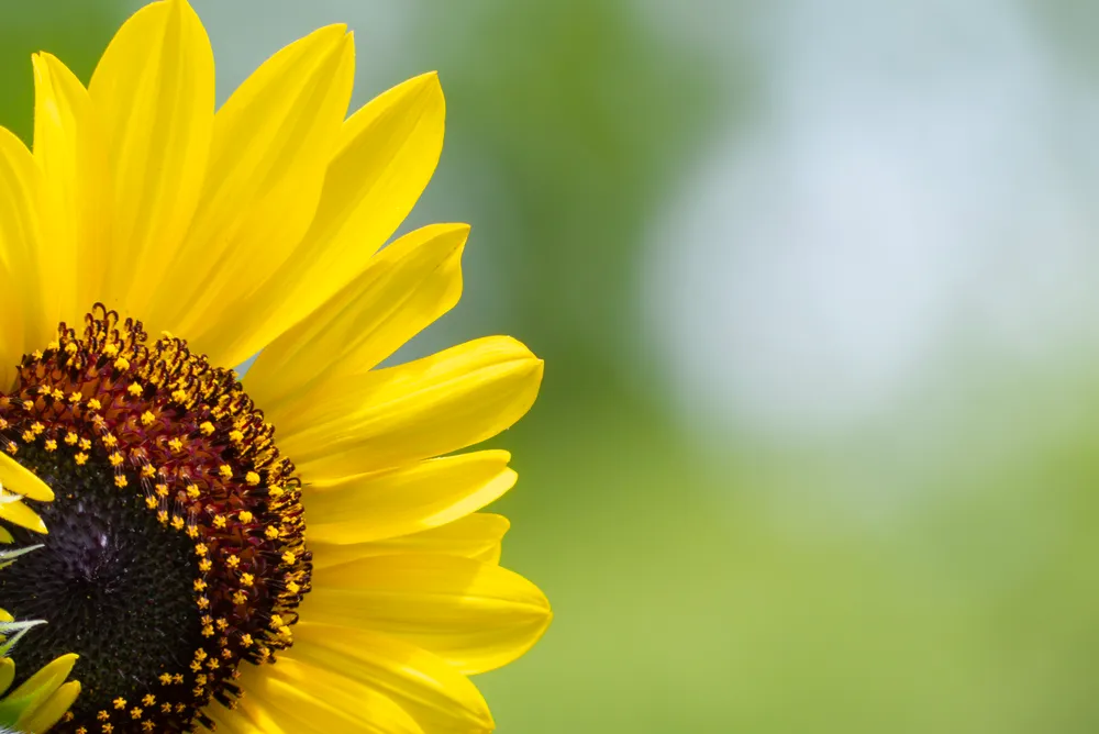 社内でできるWeb用写真づくりセミナーのサンプル写真