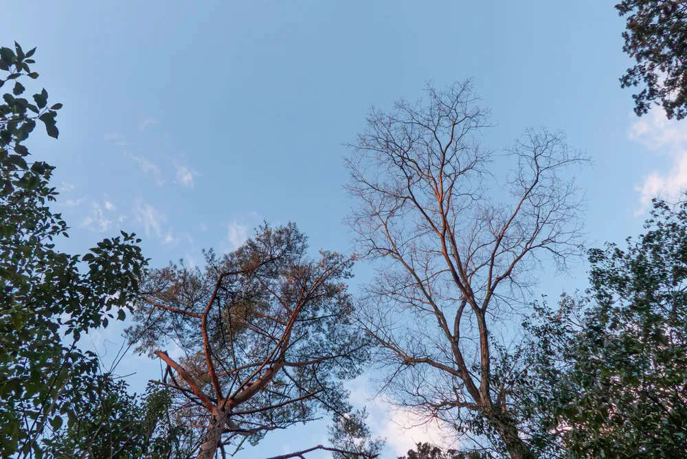 社内でできるWeb用写真づくりセミナーのサンプル写真